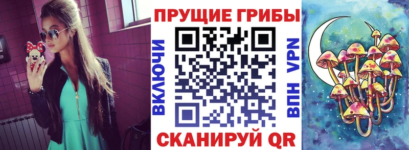 блэк спрут tor Нижнеудинск Псилоцибиновые грибы ЛСД