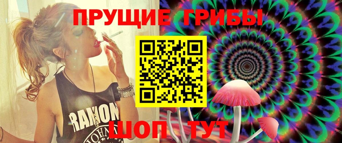 Галлюциногенные грибы Psilocybine cubensis Нижнеудинск
