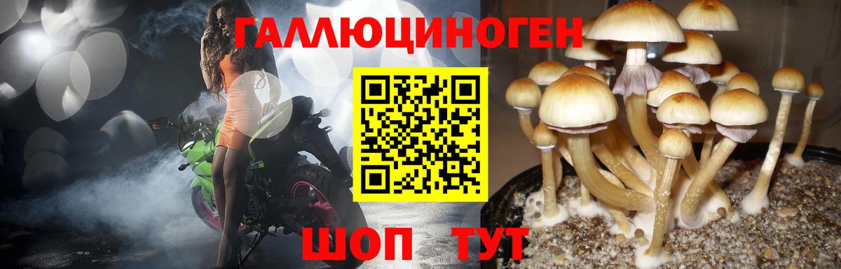 Галлюциногенные грибы Magic Shrooms  где купить   Нижнеудинск  Вход с VPN 